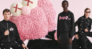 kaws dior